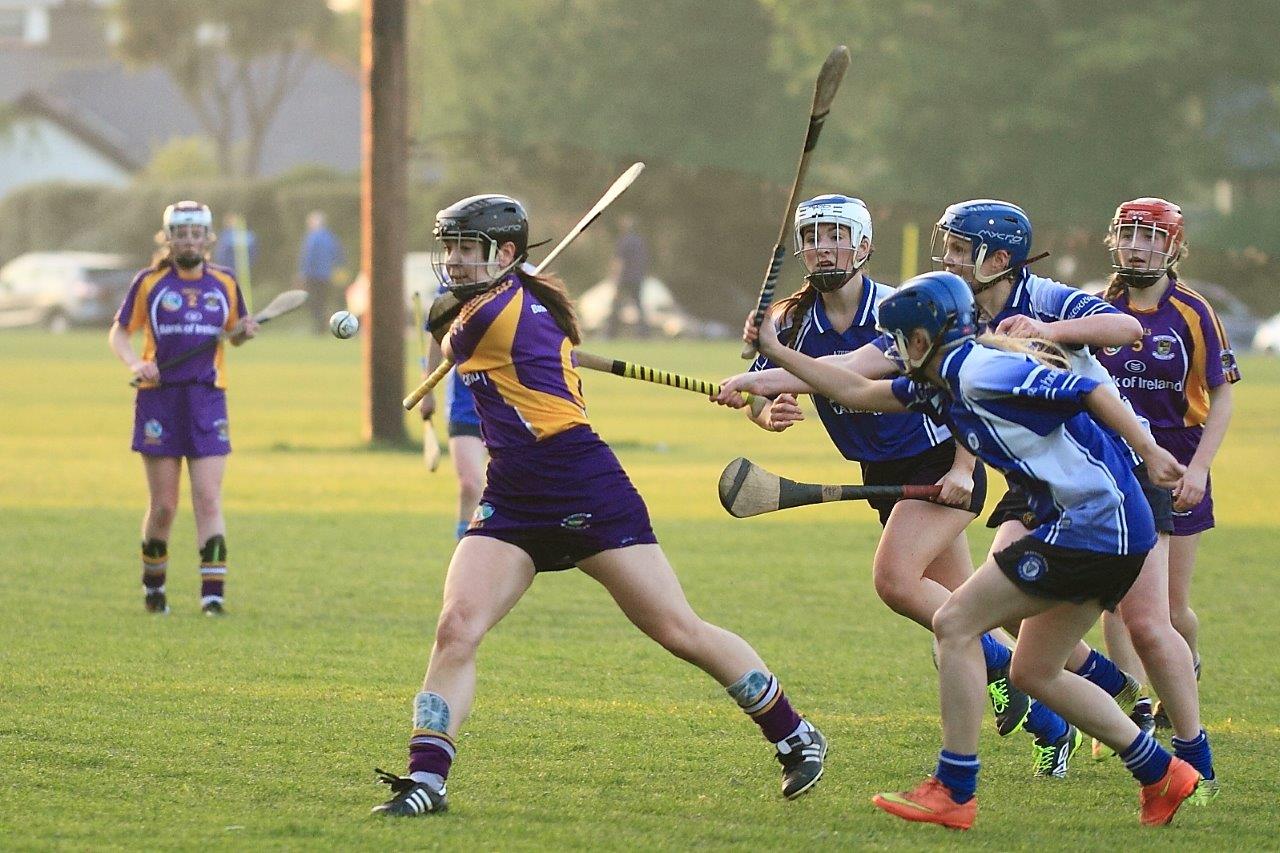 Senior 1 Camogie Team finish out league