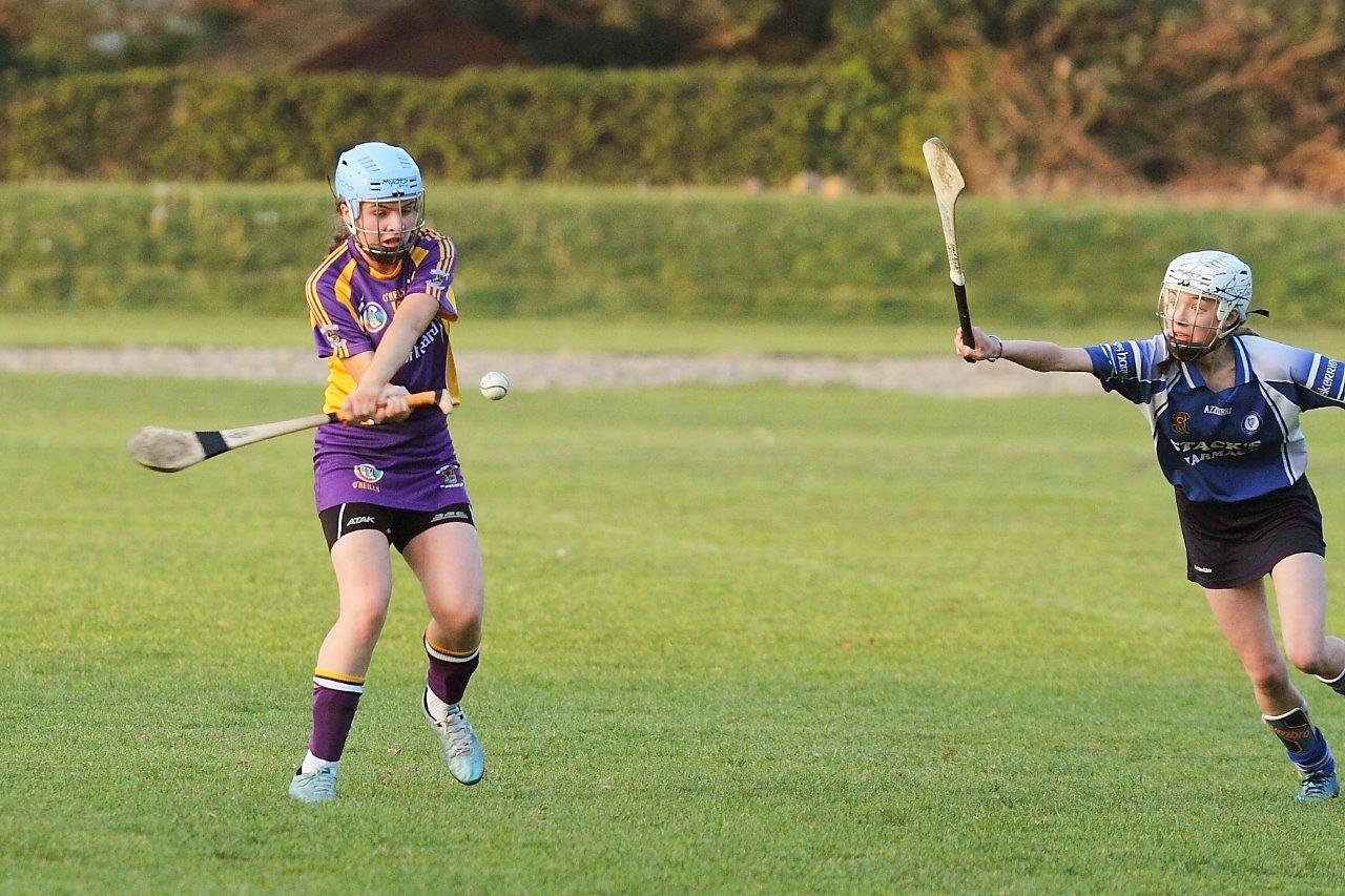 Senior 1 Camogie Team finish out league