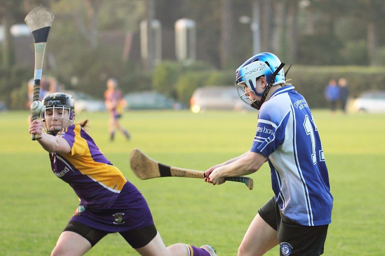 Senior 1 Camogie Team finish out league