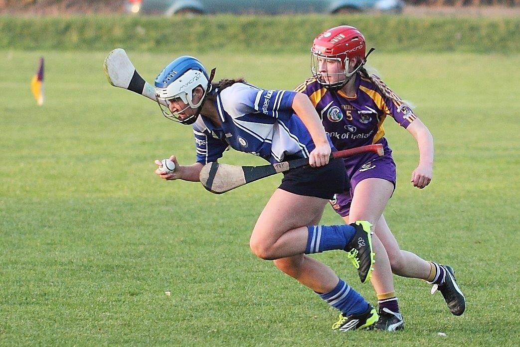 Senior 1 Camogie Team finish out league