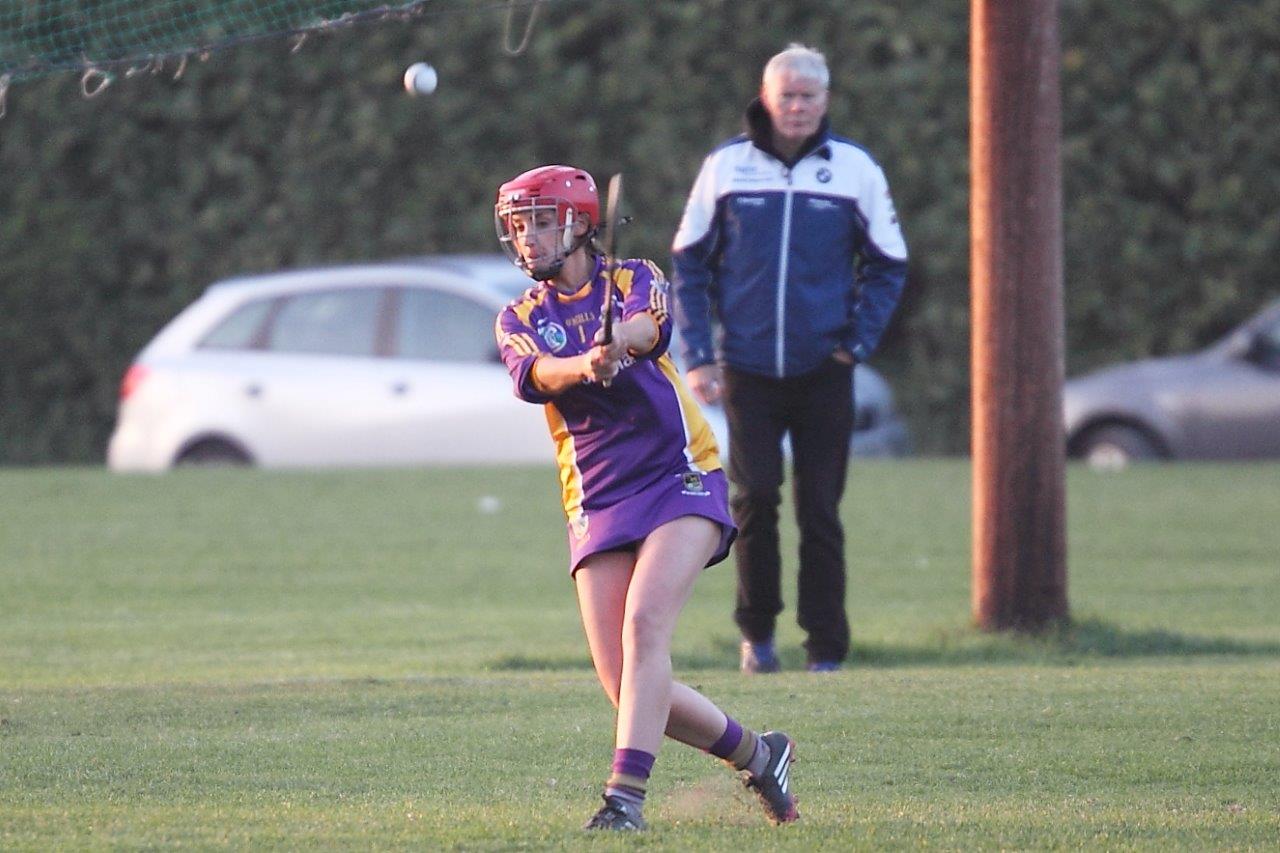 Senior 1 Camogie Team finish out league