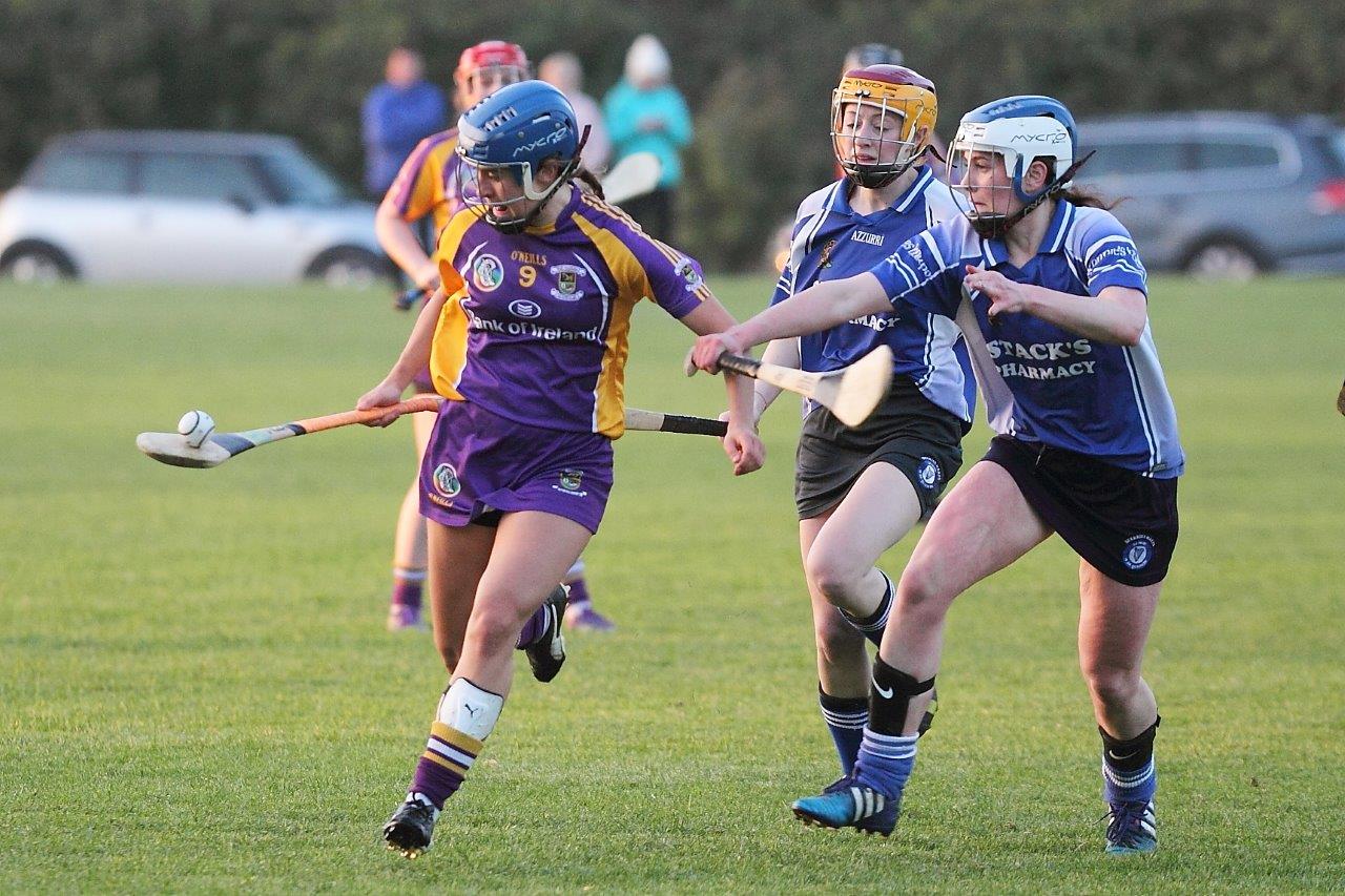 Senior 1 Camogie Team finish out league