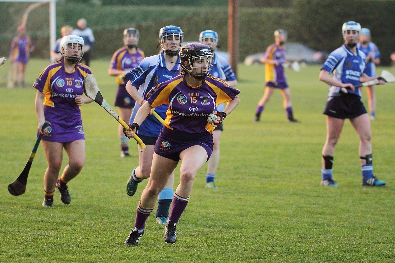 Senior 1 Camogie Team finish out league