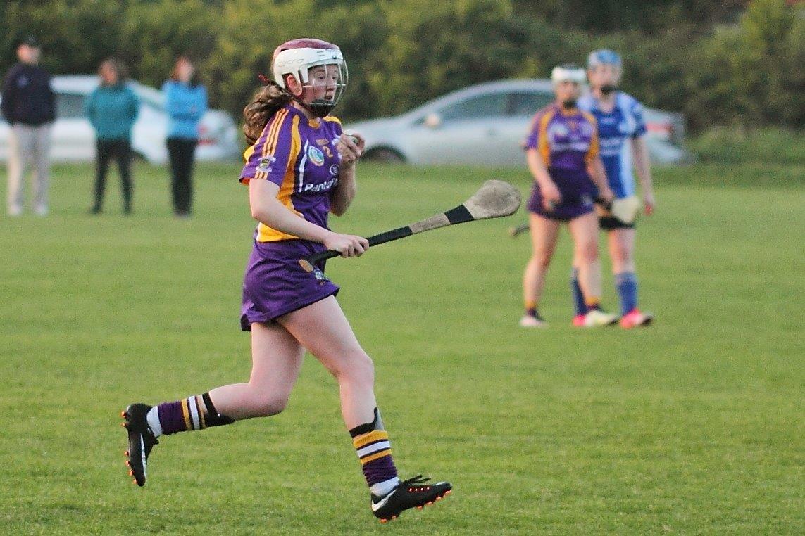 Senior 1 Camogie Team finish out league