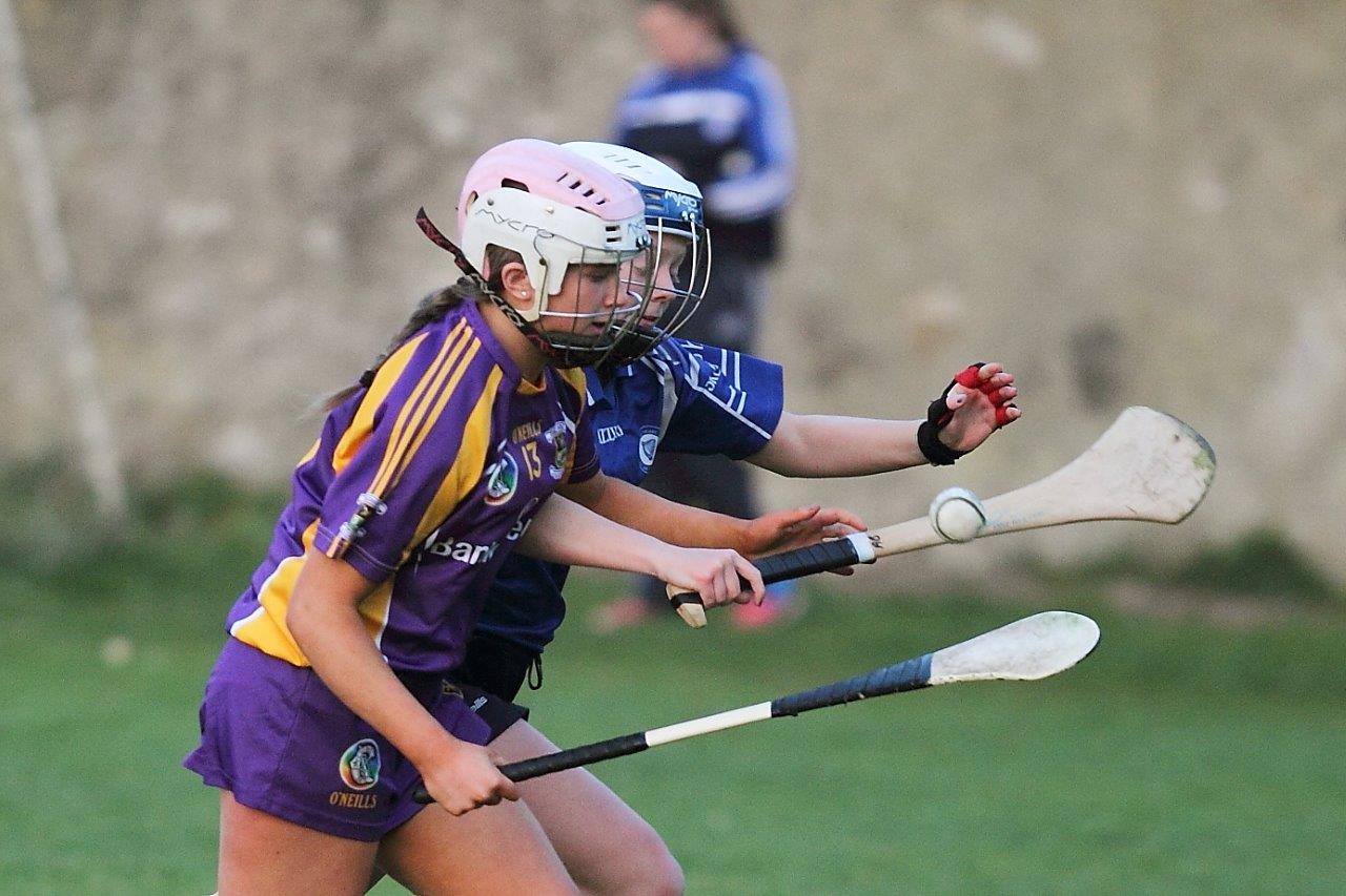 Senior 1 Camogie Team finish out league