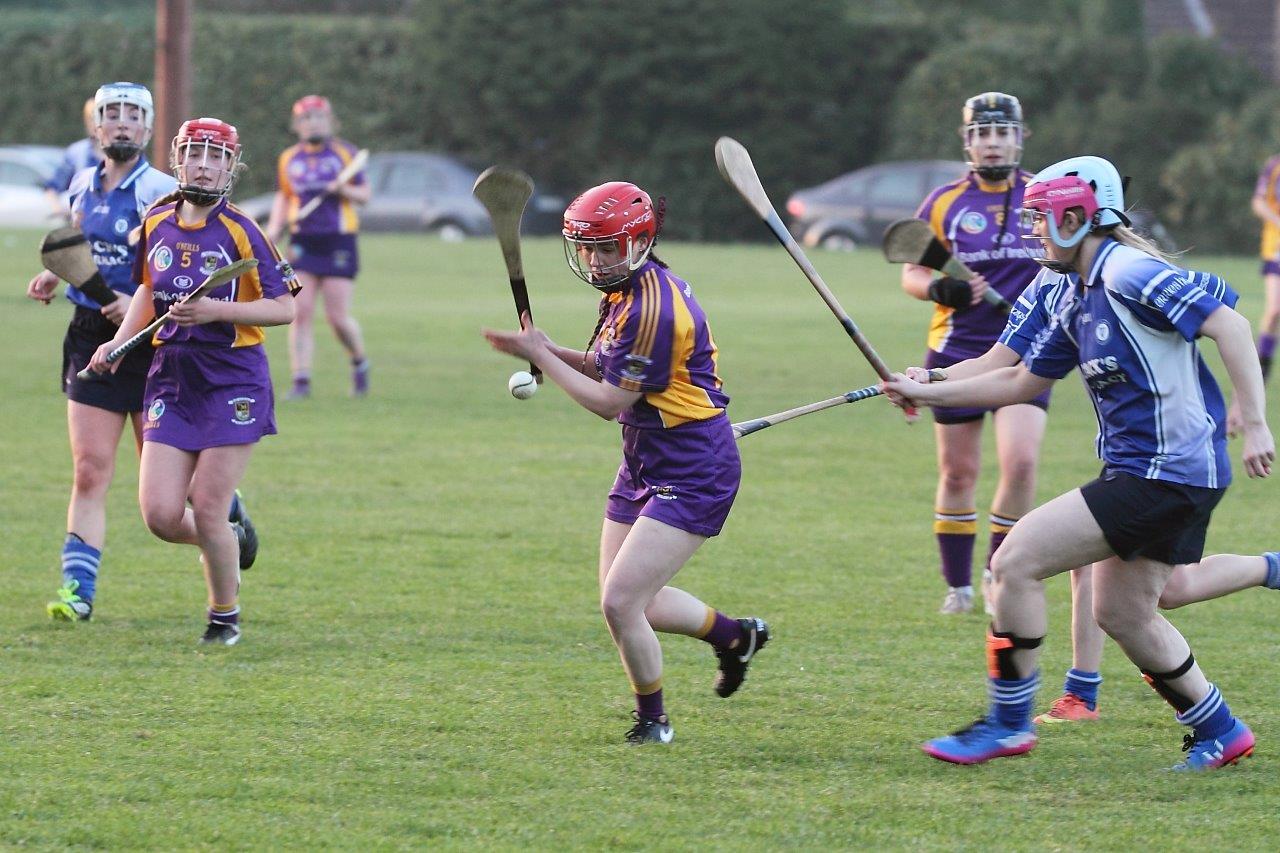 Senior 1 Camogie Team finish out league