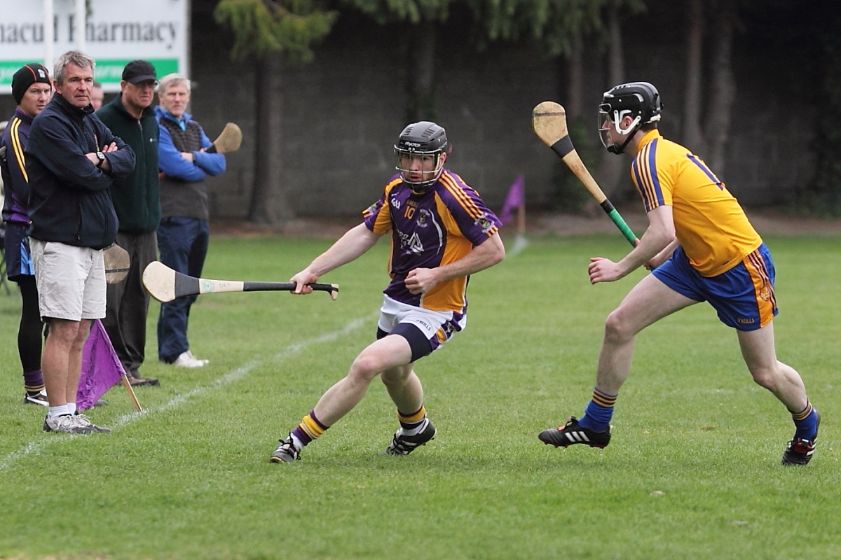 Mixed fortunes for Adult Hurling Championship Teams