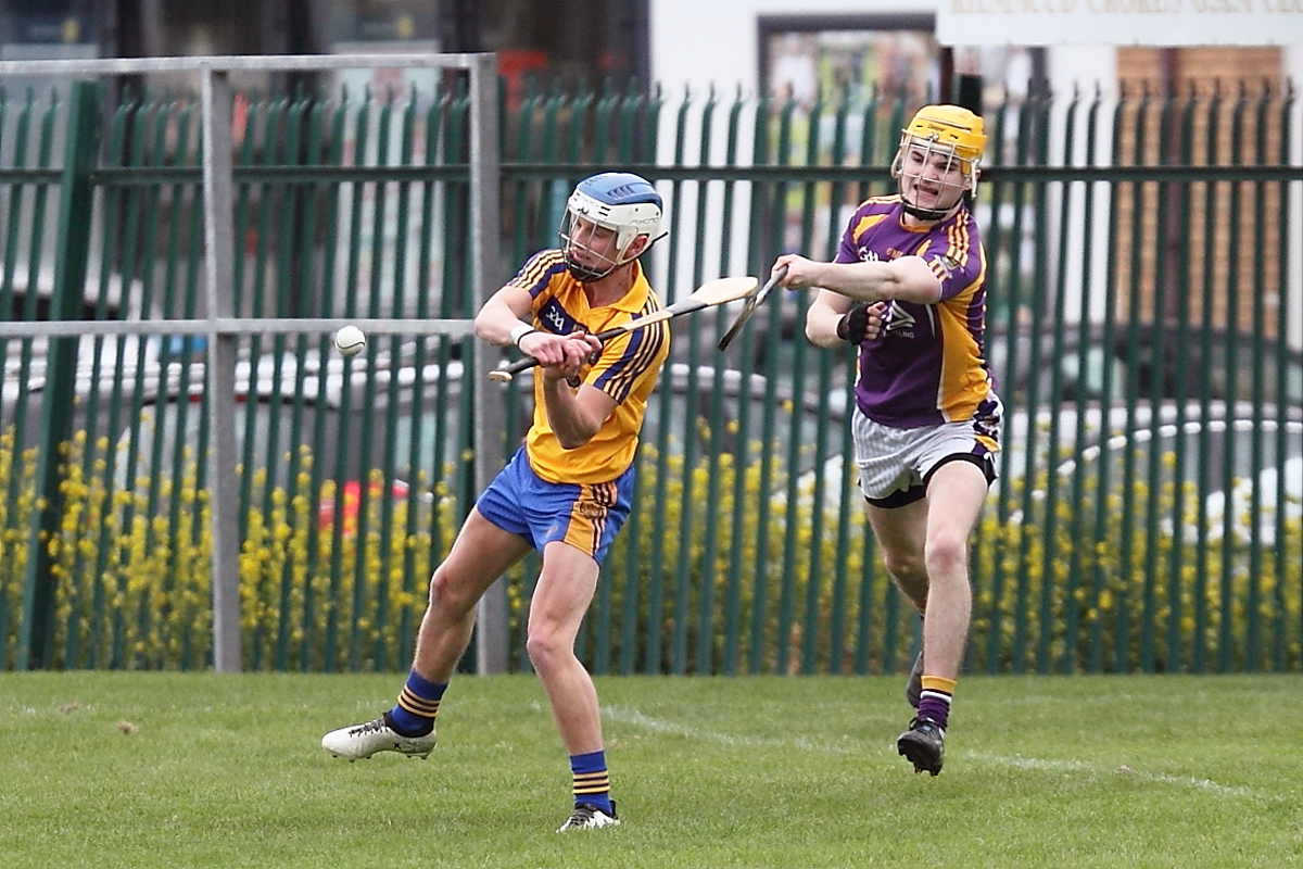 Mixed fortunes for Adult Hurling Championship Teams