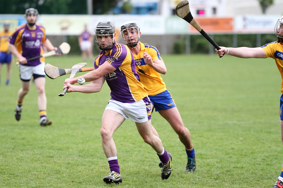 Mixed fortunes for Adult Hurling Championship Teams