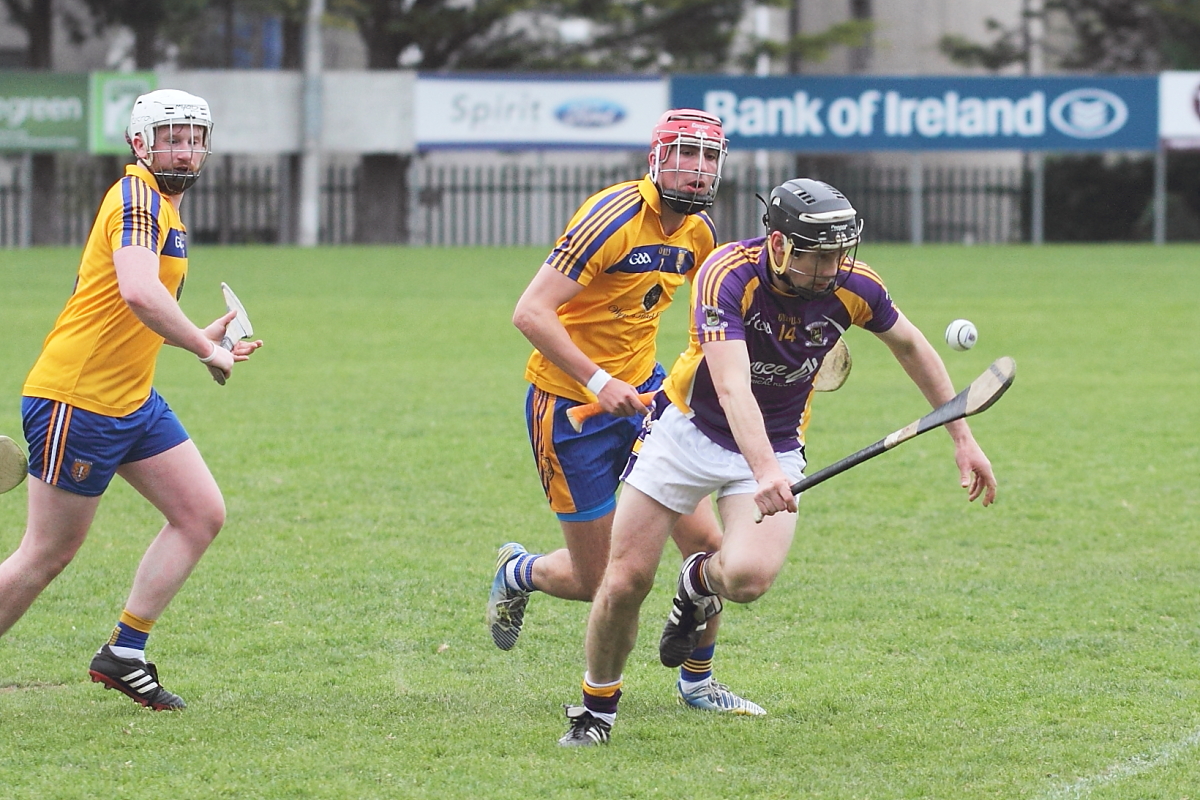 Mixed fortunes for Adult Hurling Championship Teams