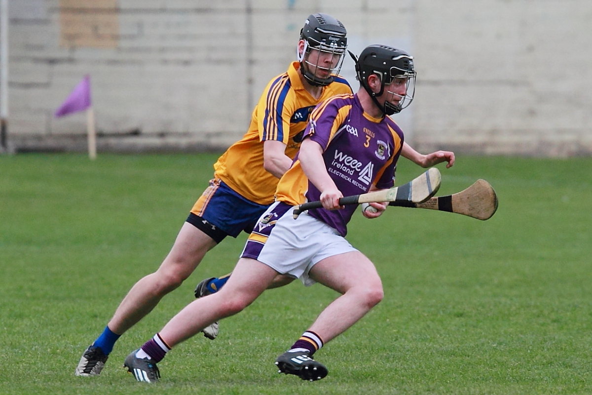 Mixed fortunes for Adult Hurling Championship Teams