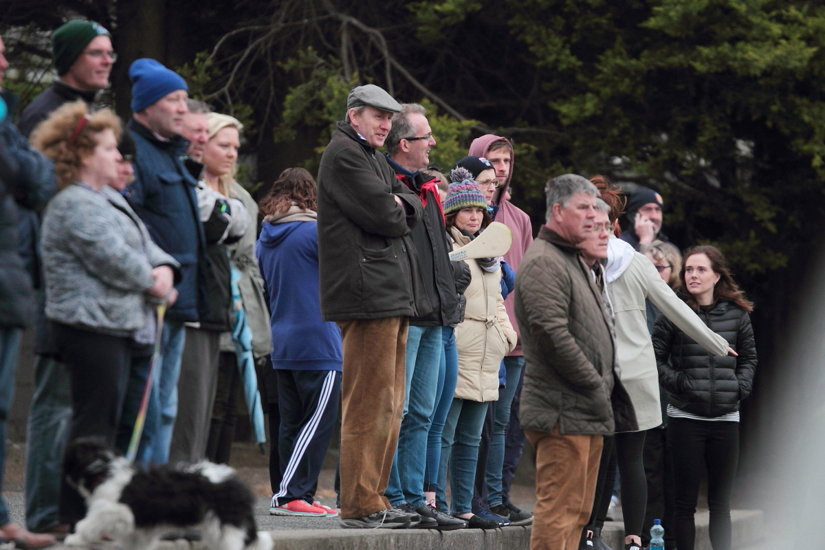 Mixed fortunes for Adult Hurling Championship Teams