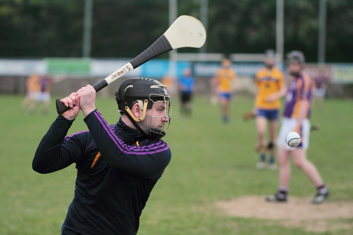 Mixed fortunes for Adult Hurling Championship Teams