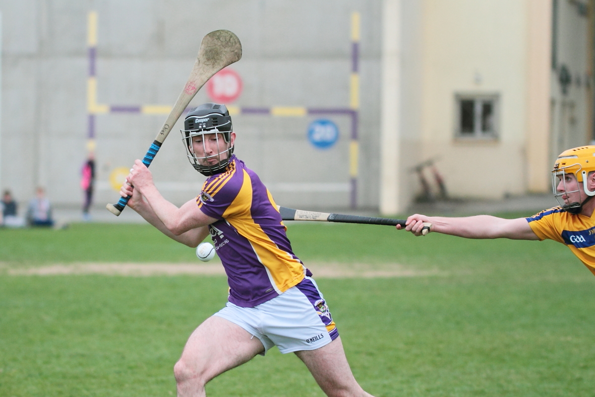 Mixed fortunes for Adult Hurling Championship Teams