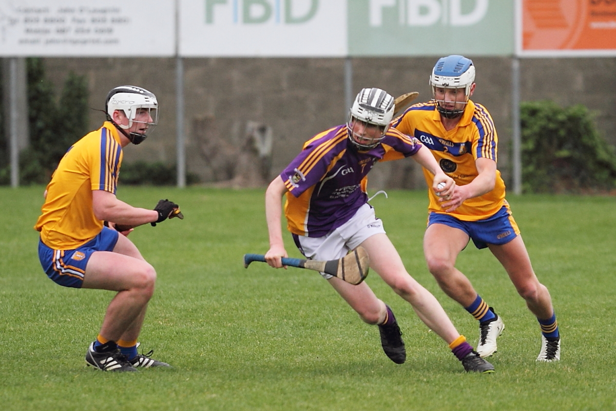 Mixed fortunes for Adult Hurling Championship Teams