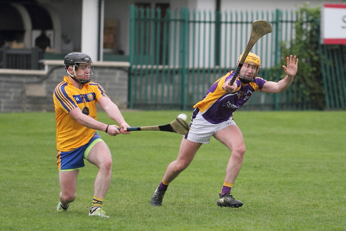 Mixed fortunes for Adult Hurling Championship Teams