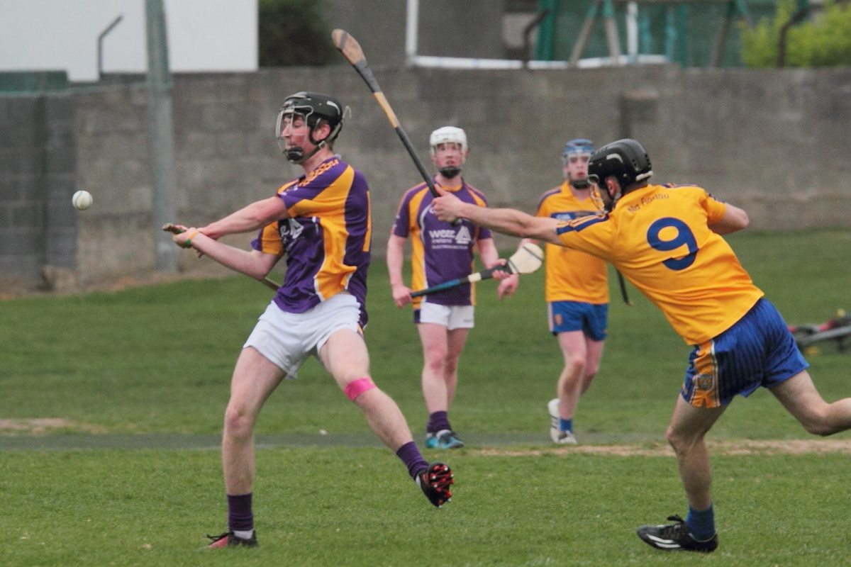 Mixed fortunes for Adult Hurling Championship Teams