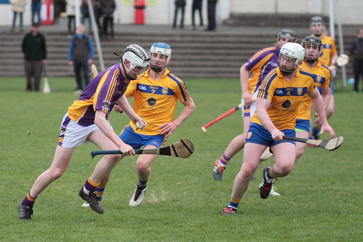 Mixed fortunes for Adult Hurling Championship Teams