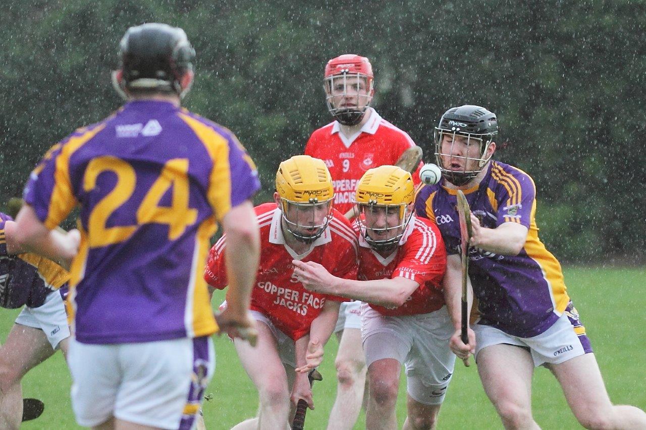 Intermediate Hurlers vs St Bridgets