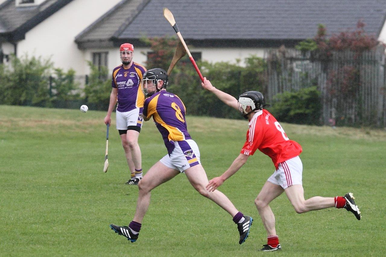 Intermediate Hurlers vs St Bridgets