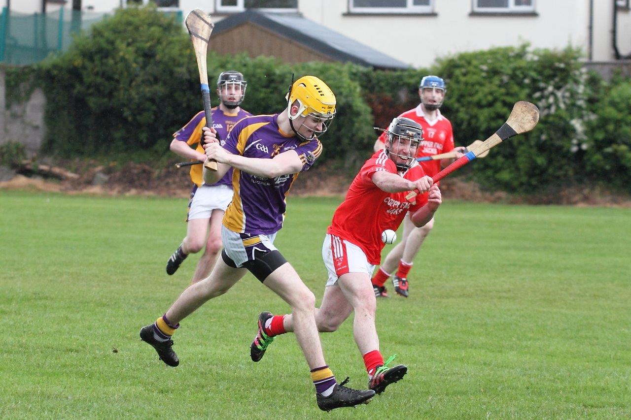 Intermediate Hurlers vs St Bridgets