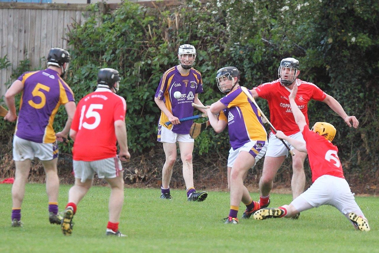 Intermediate Hurlers vs St Bridgets