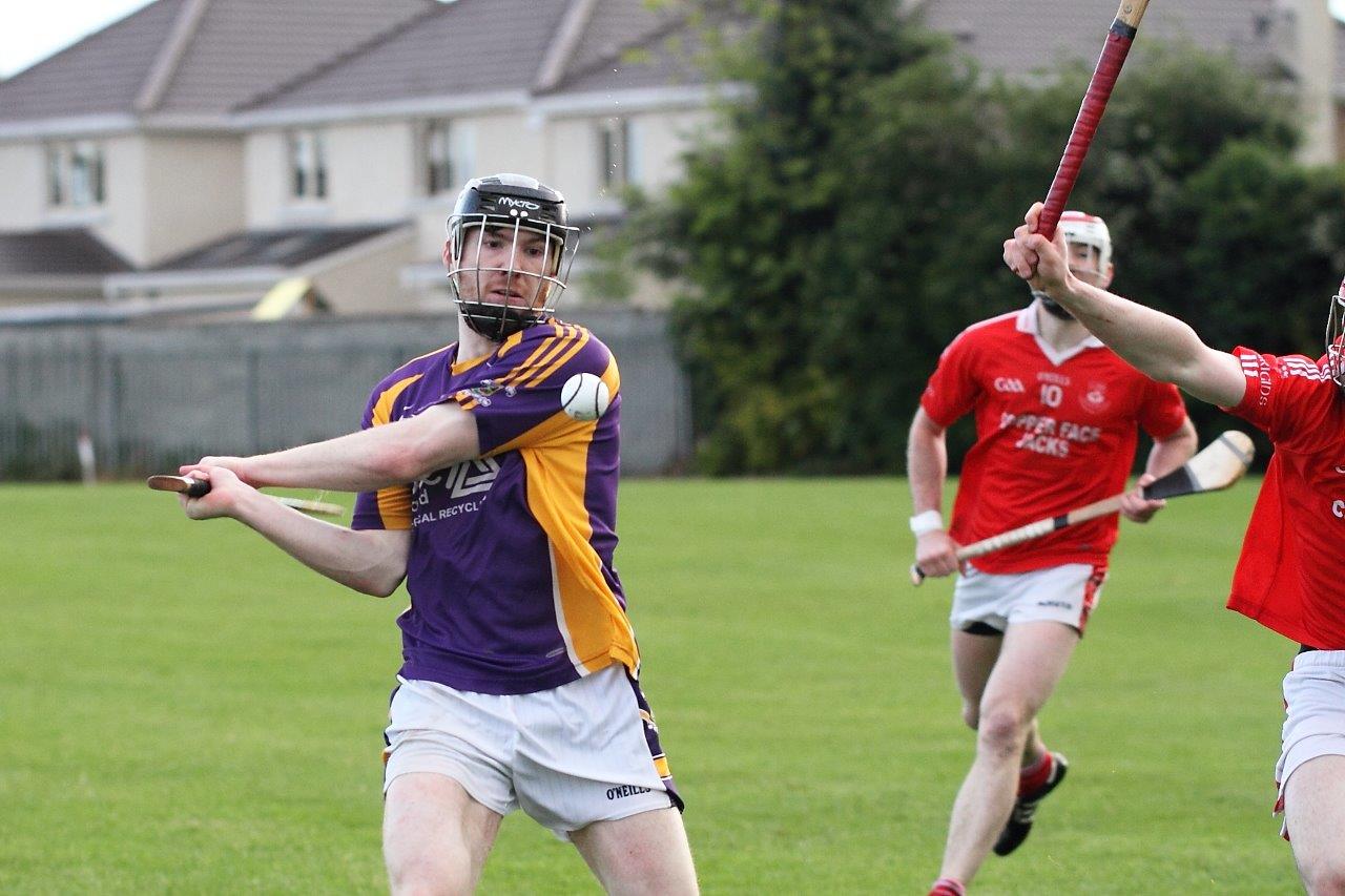 Intermediate Hurlers vs St Bridgets