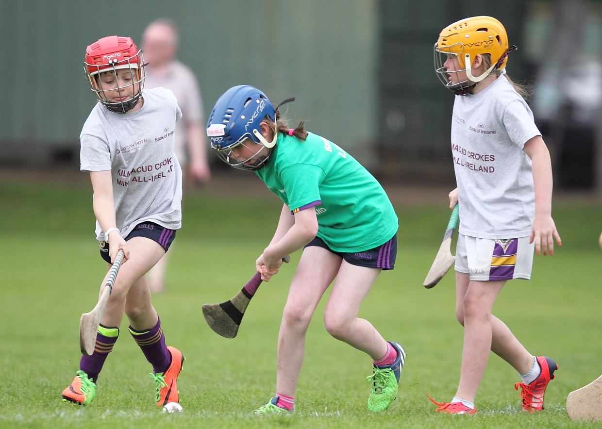 CAMOGIE AND Ladies Football MINI ALL IRELAND FINALS _ Continued