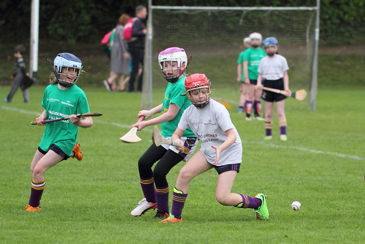 CAMOGIE AND Ladies Football MINI ALL IRELAND FINALS _ Continued