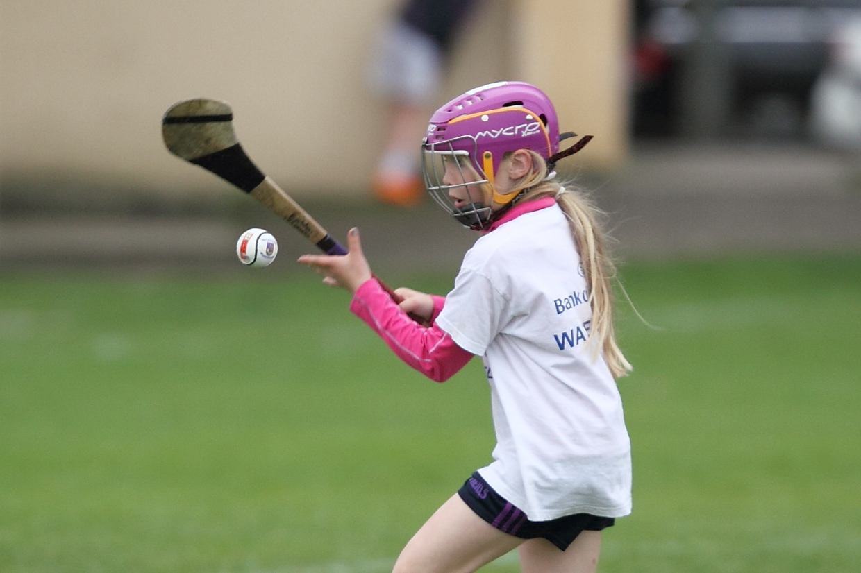 CAMOGIE AND Ladies Football MINI ALL IRELAND FINALS _ Continued