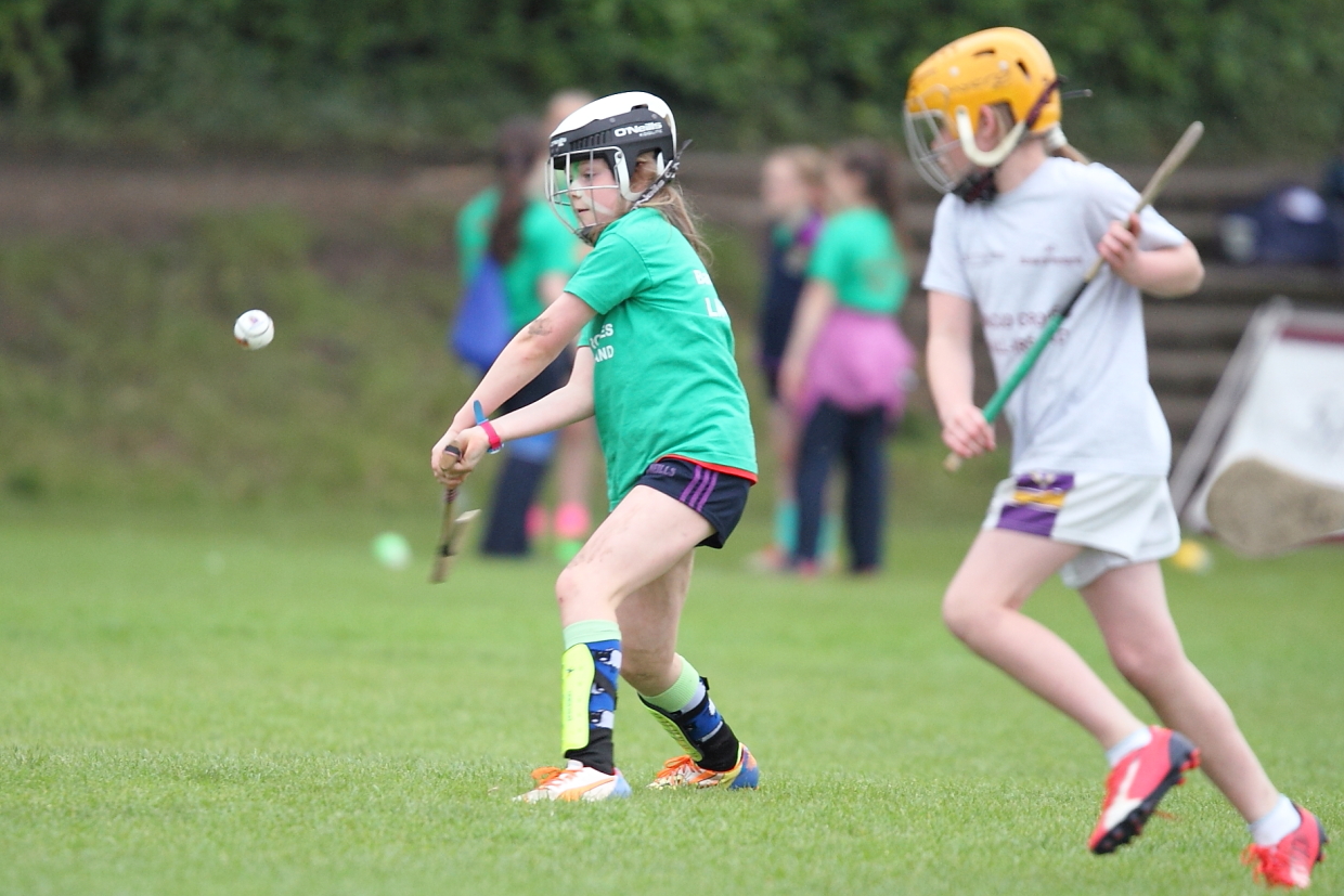 CAMOGIE AND Ladies Football MINI ALL IRELAND FINALS _ Continued