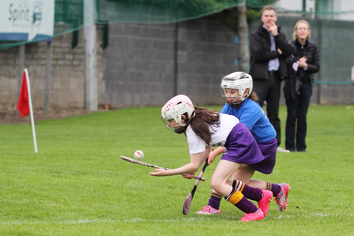 CAMOGIE AND Ladies Football MINI ALL IRELAND FINALS _ Continued