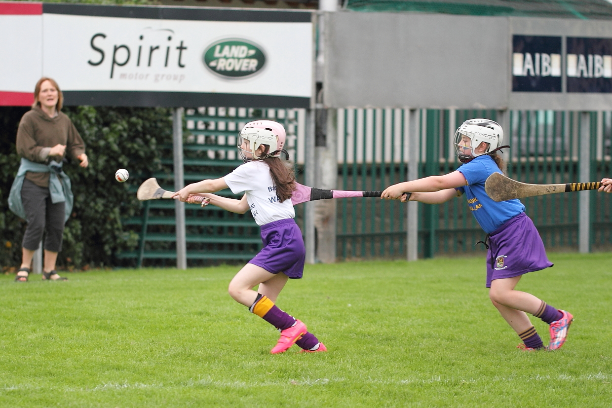 CAMOGIE AND Ladies Football MINI ALL IRELAND FINALS _ Continued