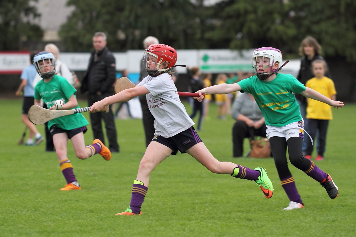 CAMOGIE AND Ladies Football MINI ALL IRELAND FINALS _ Continued