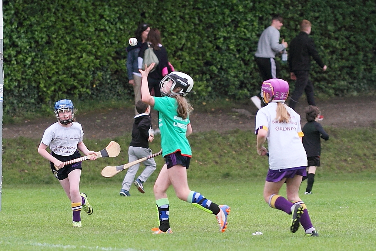 CAMOGIE AND Ladies Football MINI ALL IRELAND FINALS _ Continued