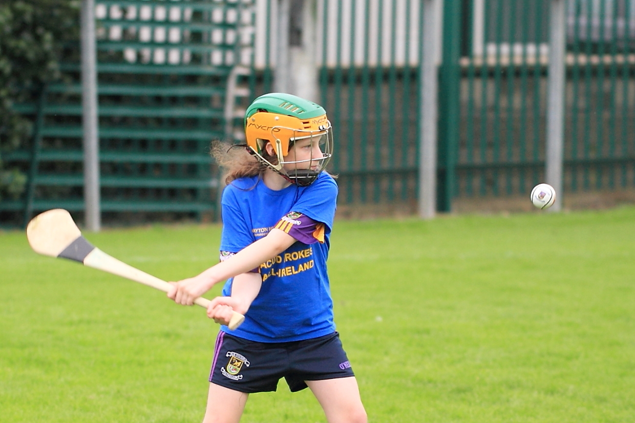 CAMOGIE AND Ladies Football MINI ALL IRELAND FINALS _ Continued