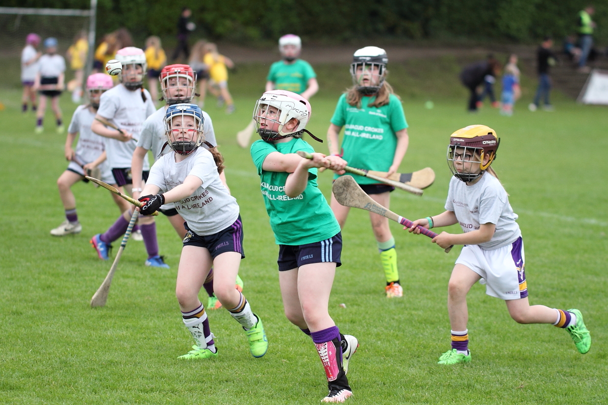 CAMOGIE AND Ladies Football MINI ALL IRELAND FINALS _ Continued