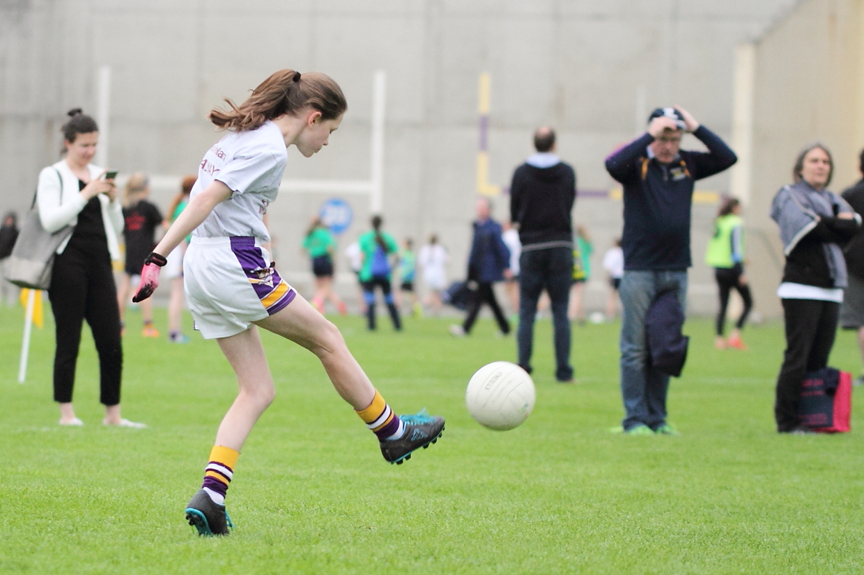 CAMOGIE AND Ladies Football MINI ALL IRELAND FINALS _ Continued