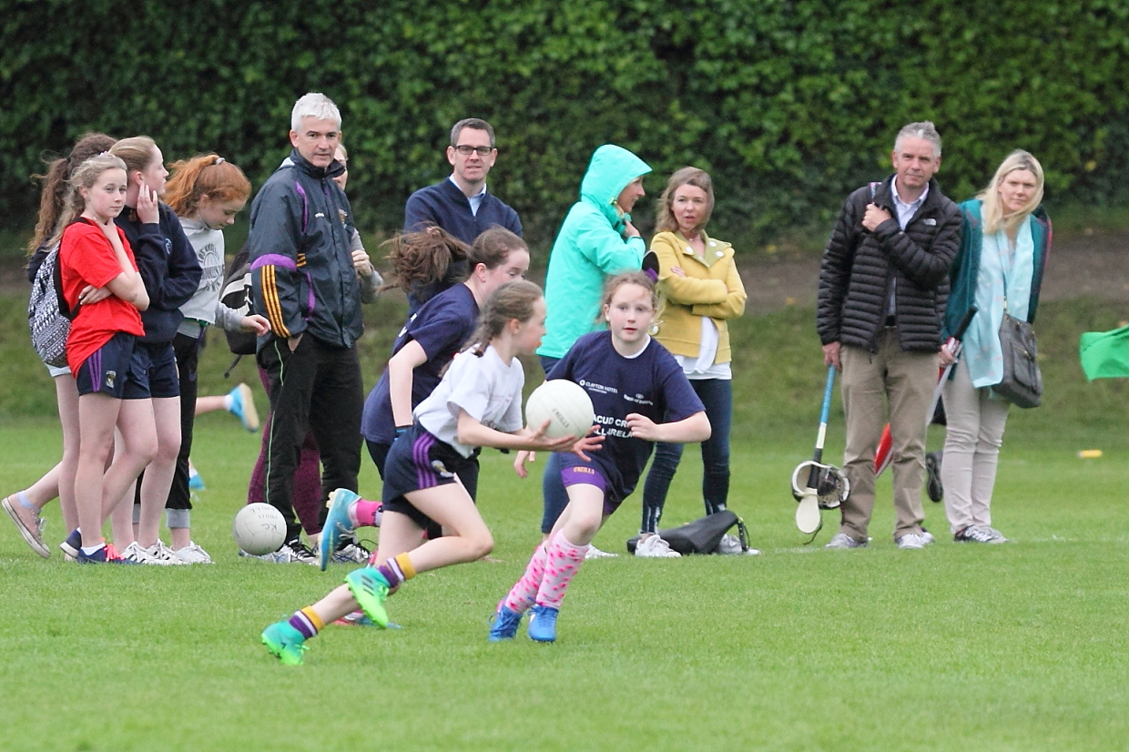 CAMOGIE AND Ladies Football MINI ALL IRELAND FINALS _ Continued