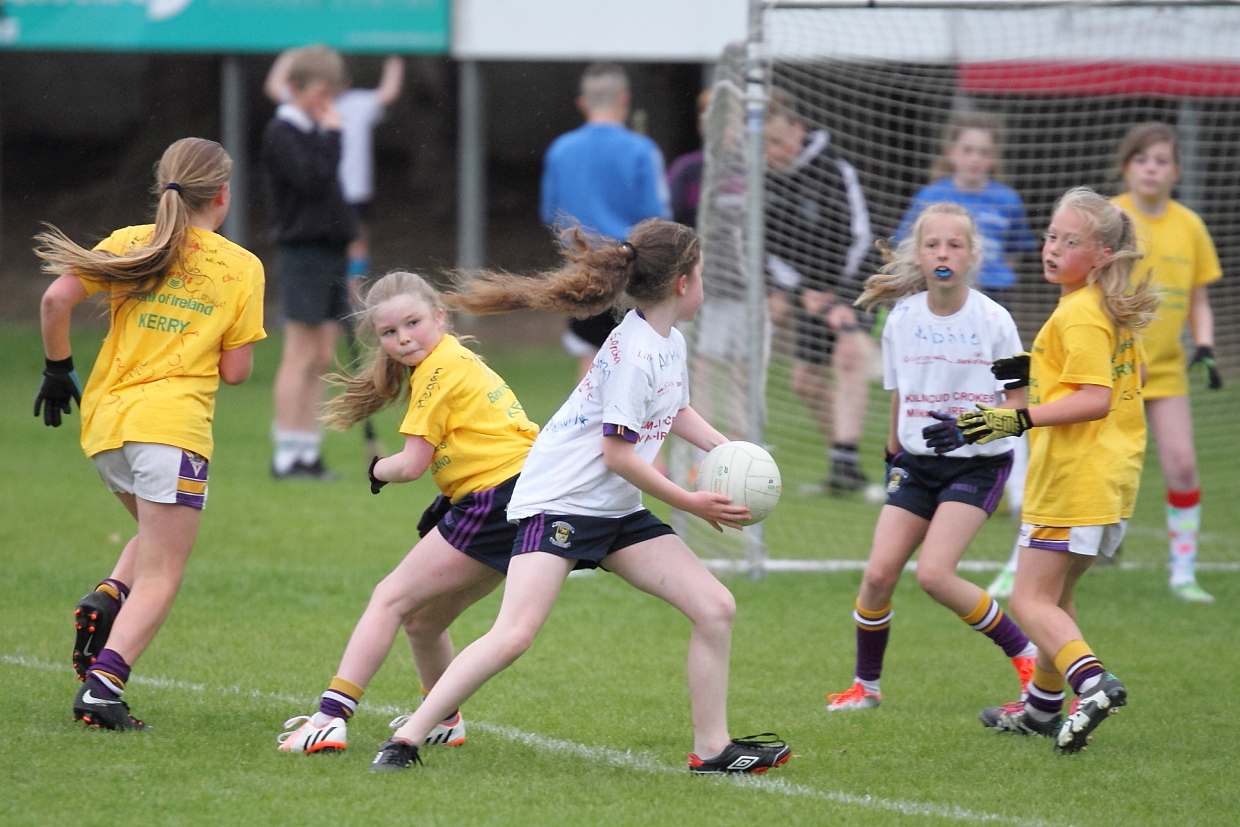 CAMOGIE AND Ladies Football MINI ALL IRELAND FINALS _ Continued