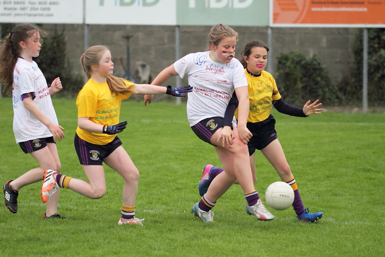 CAMOGIE AND Ladies Football MINI ALL IRELAND FINALS _ Continued