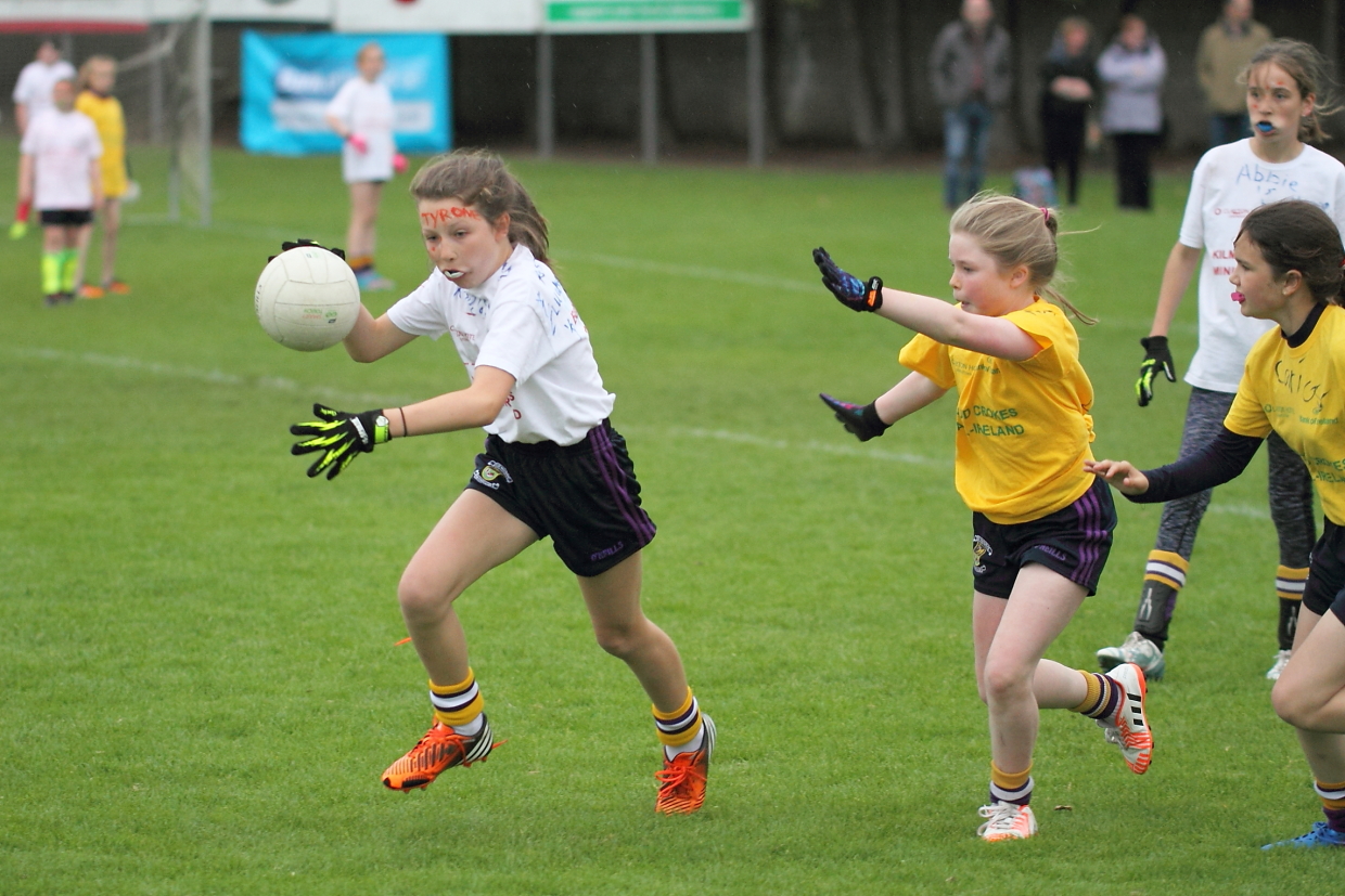 CAMOGIE AND Ladies Football MINI ALL IRELAND FINALS _ Continued