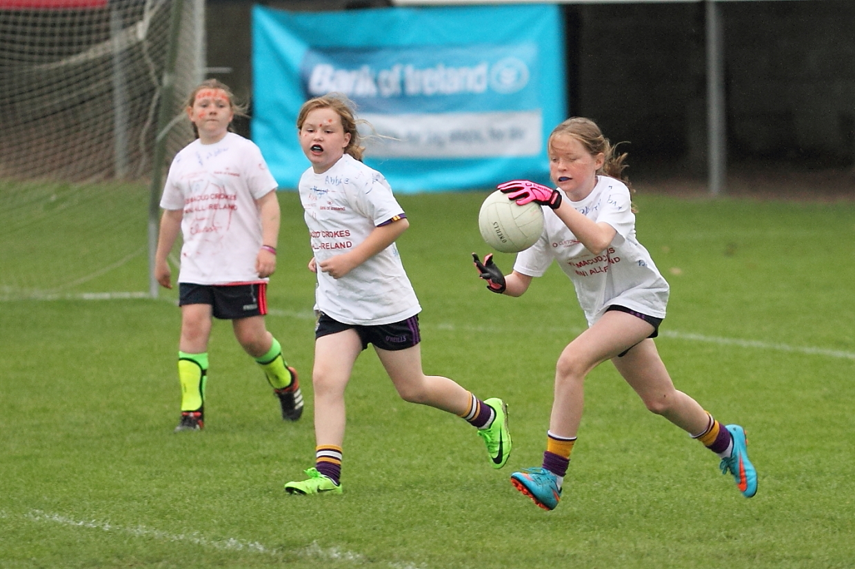 CAMOGIE AND Ladies Football MINI ALL IRELAND FINALS _ Continued