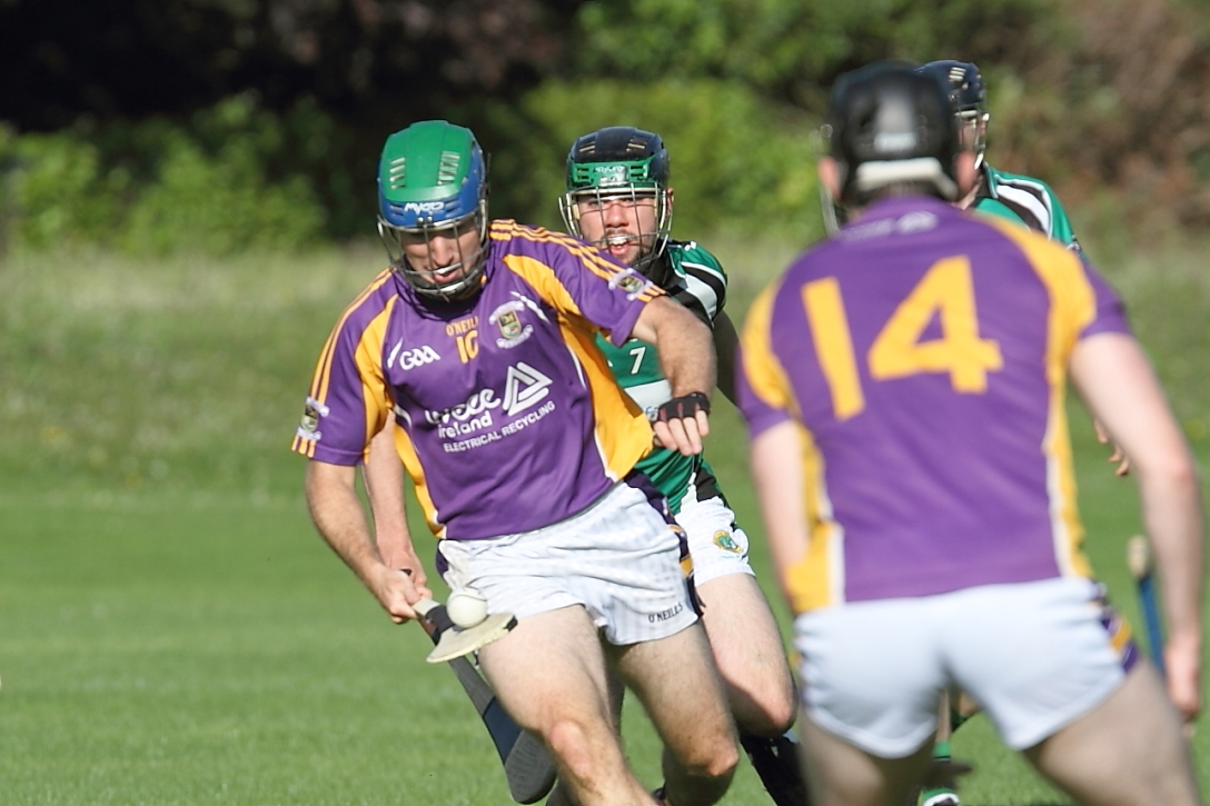 Intermediate Hurlers vs Erins Isle