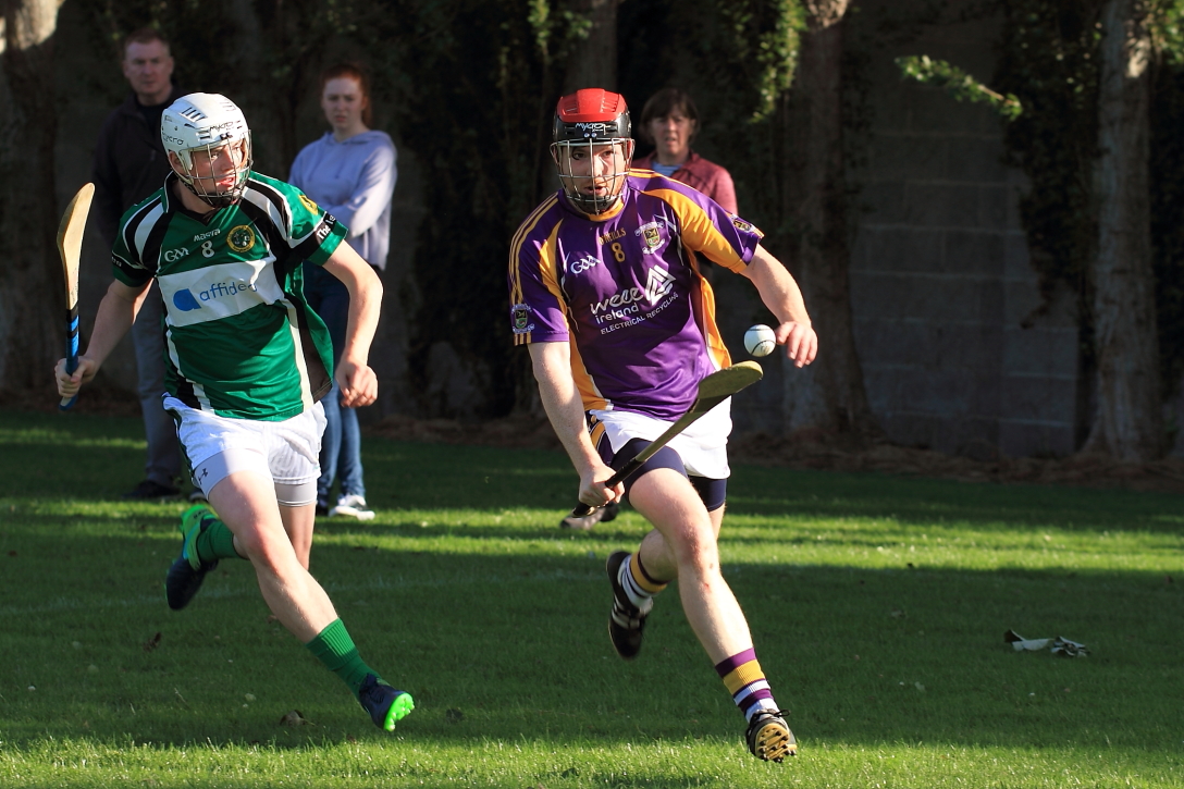 Intermediate Hurlers vs Erins Isle