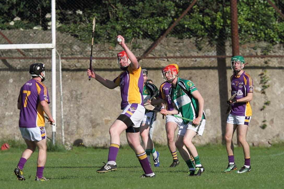 Intermediate Hurlers vs Erins Isle