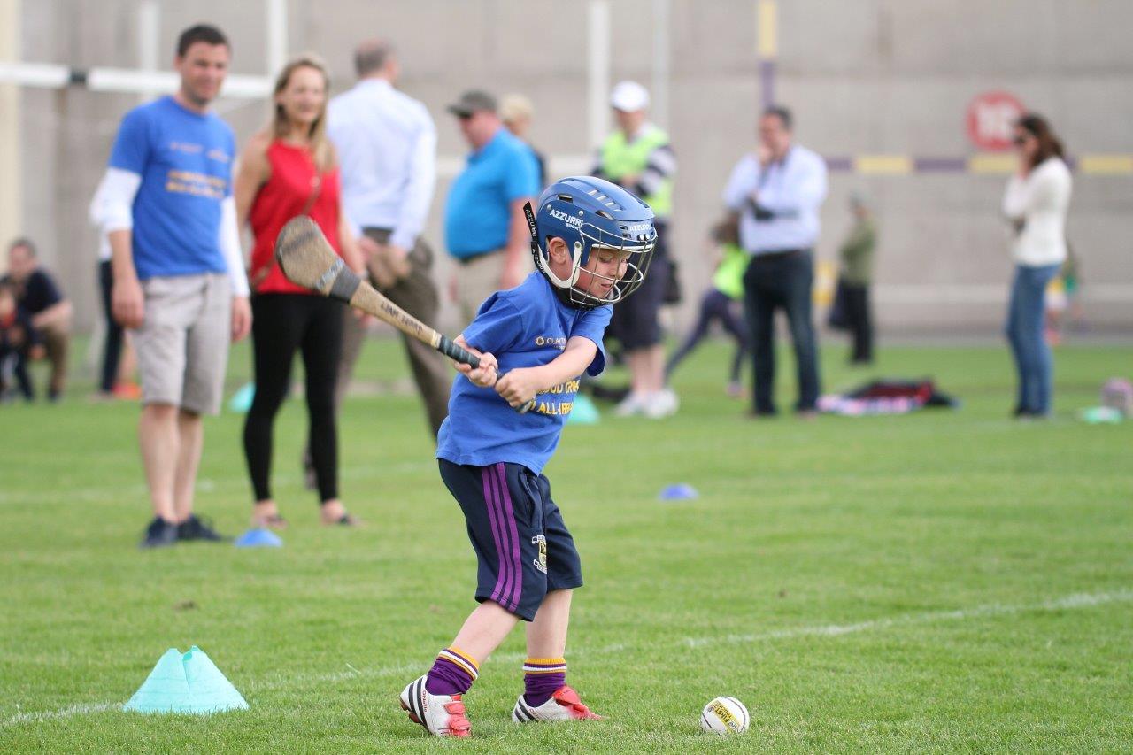 Hurling Mini All Ireland Finals