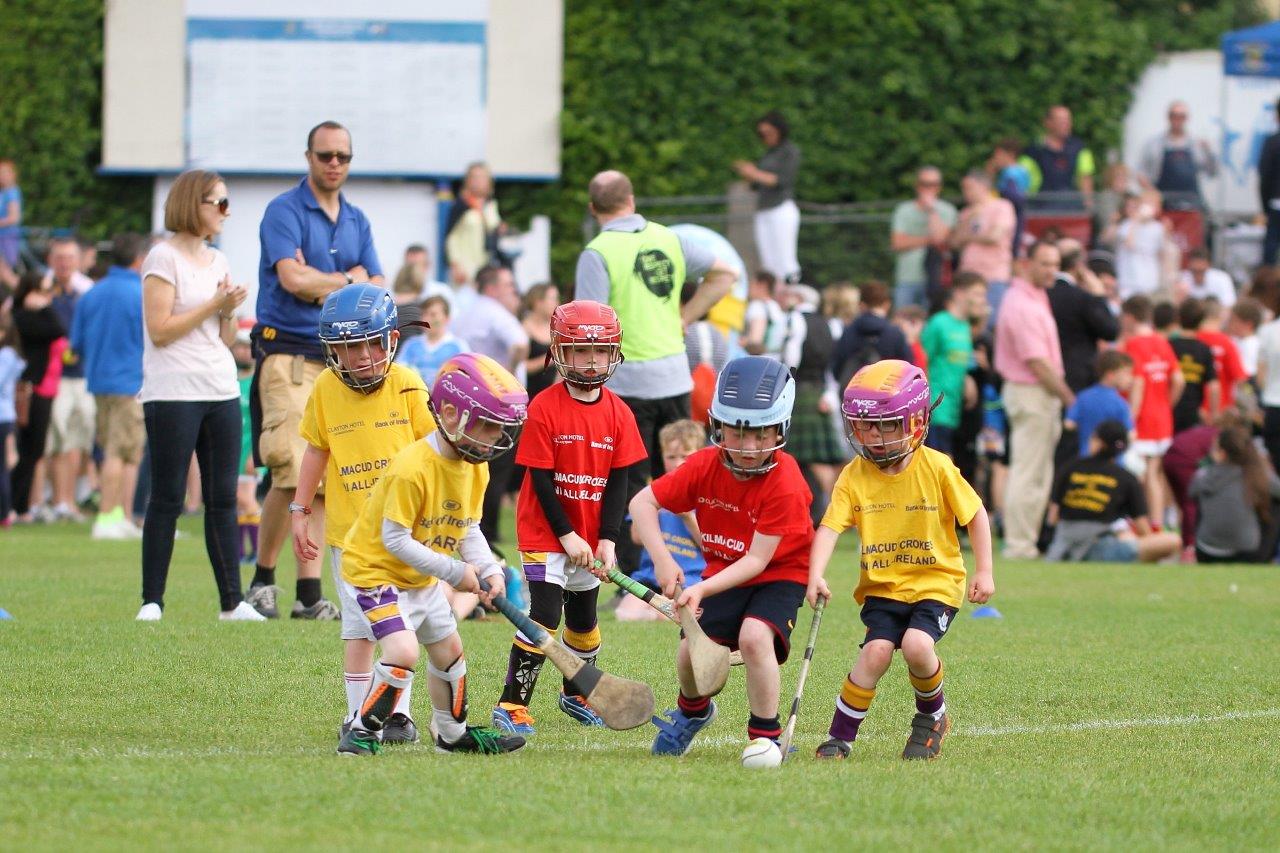 Hurling Mini All Ireland Finals