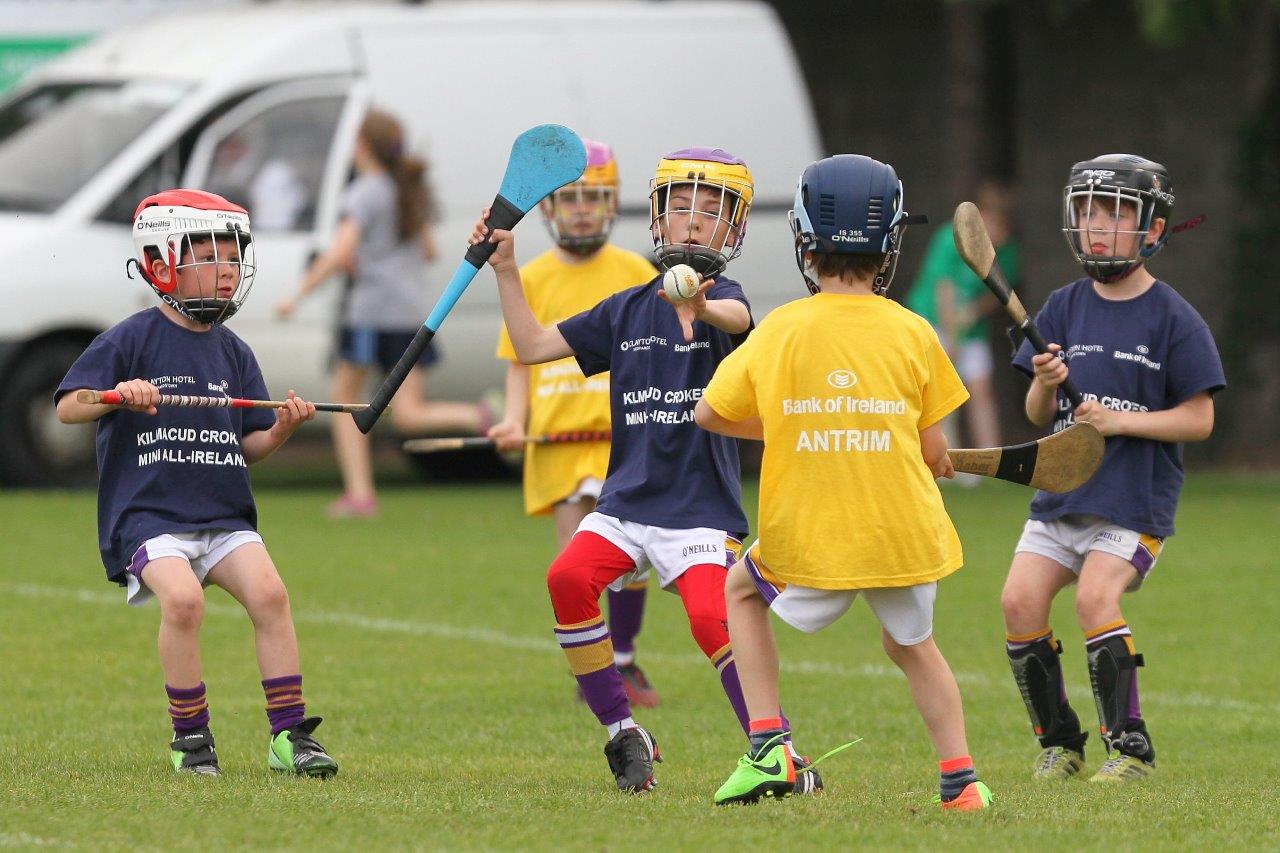 Hurling Mini All Ireland Finals