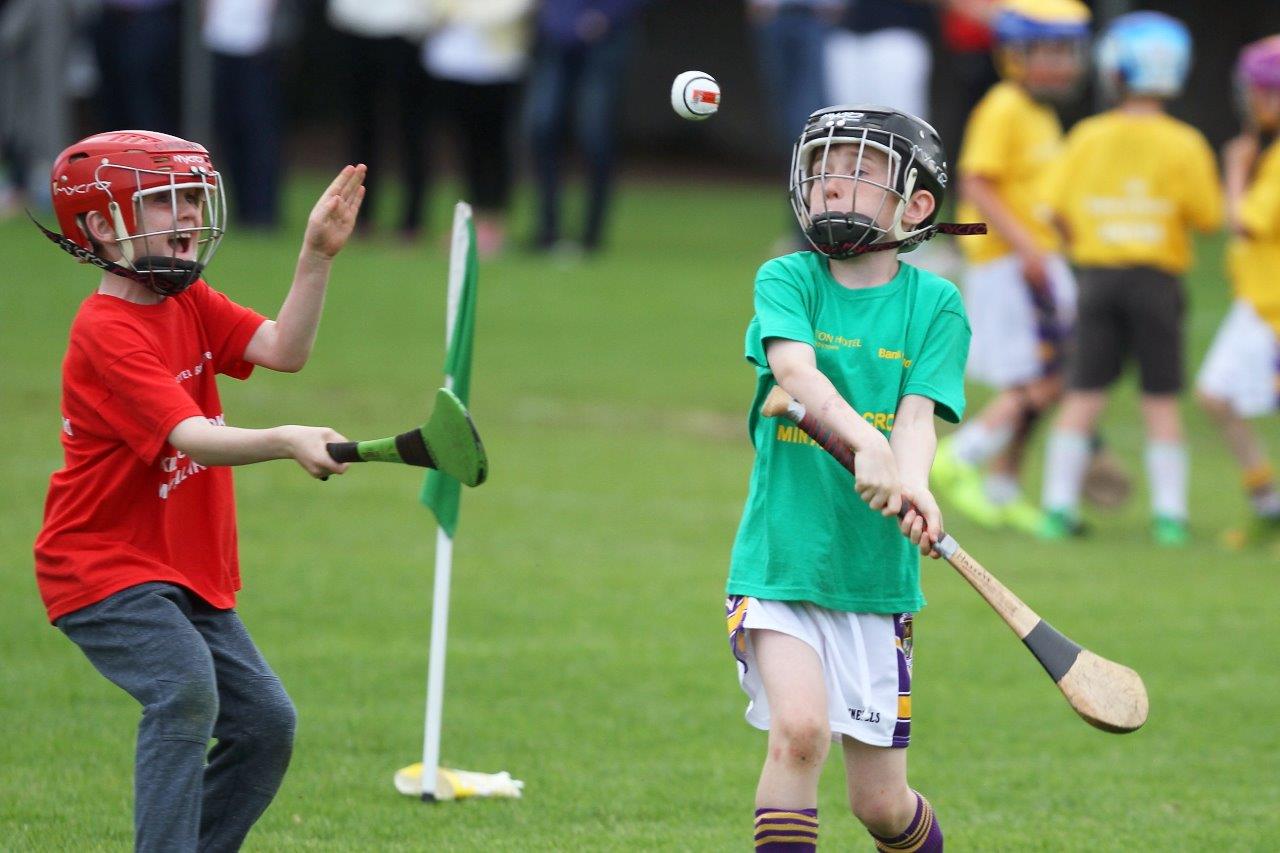 Hurling Mini All Ireland Finals